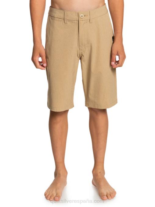 playa 8-16 union heather anfibio 19 pantalones cortos híbridos D6T4D2315 Niños Quiksilver