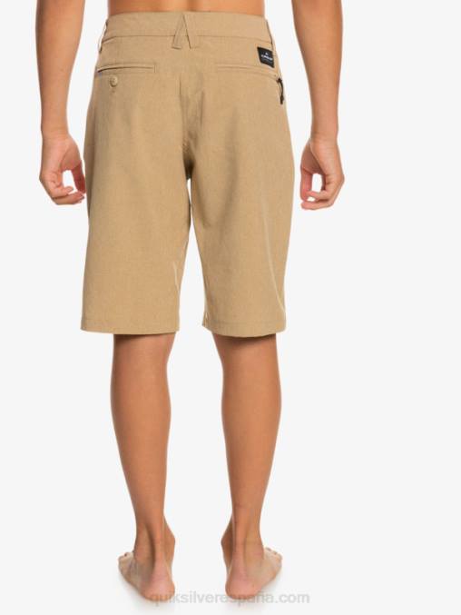 playa 8-16 union heather anfibio 19 pantalones cortos híbridos D6T4D2315 Niños Quiksilver