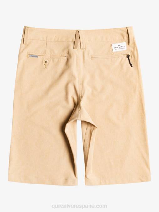 playa 8-16 union heather anfibio 19 pantalones cortos híbridos D6T4D2325 Niños Quiksilver