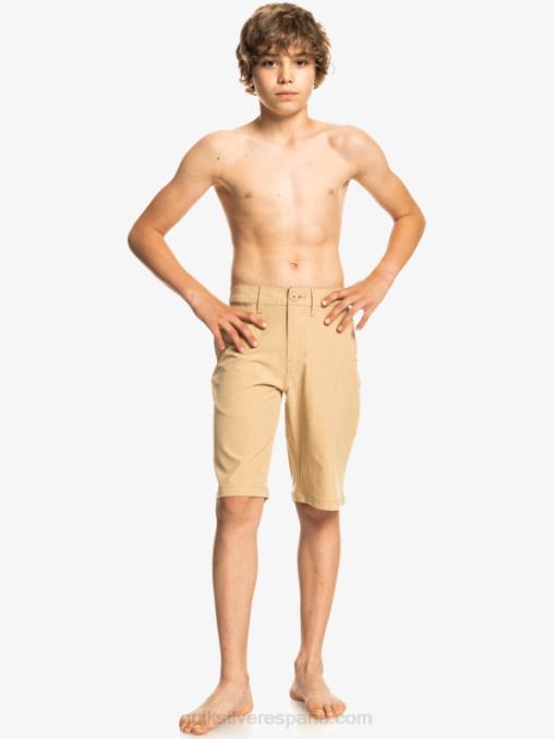 playa 8-16 union heather anfibio 19 pantalones cortos híbridos D6T4D2325 Niños Quiksilver