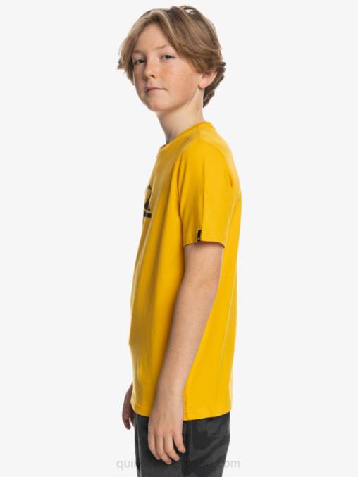 vara de oro logotipo de comp - camiseta D6T4D2316 Niños Quiksilver