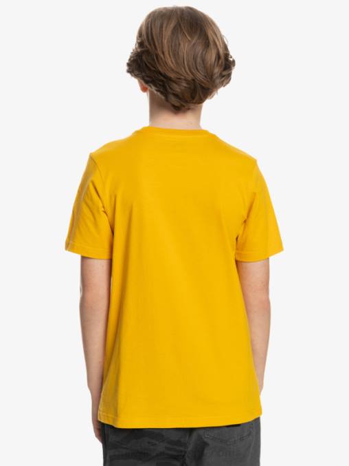 vara de oro logotipo de comp - camiseta D6T4D2316 Niños Quiksilver