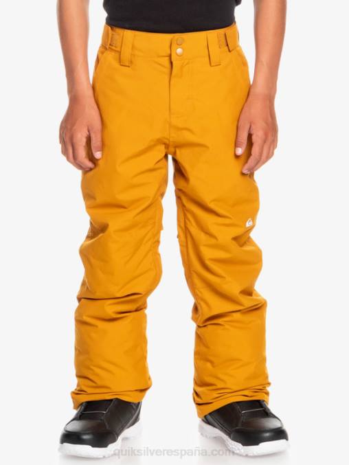 espino amarillo 8-16 pantalones de nieve estate D6T4D2293 Niños Quiksilver