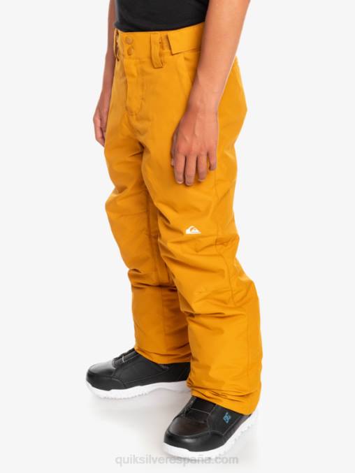 espino amarillo 8-16 pantalones de nieve estate D6T4D2293 Niños Quiksilver