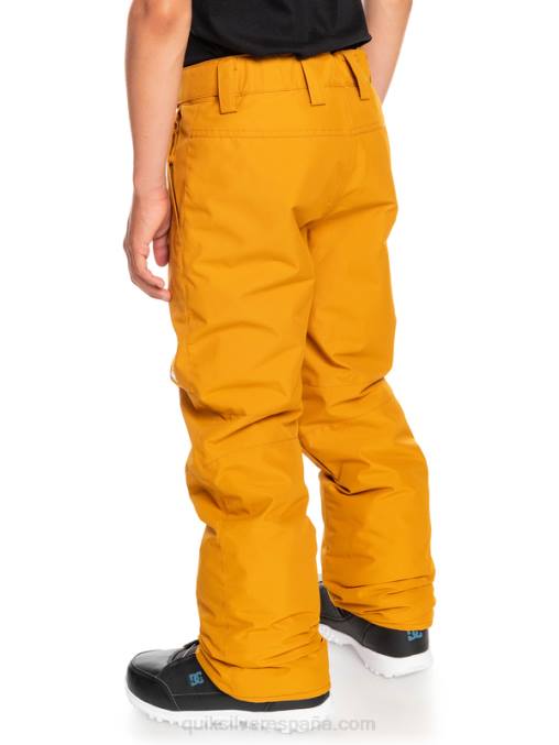 espino amarillo 8-16 pantalones de nieve estate D6T4D2293 Niños Quiksilver