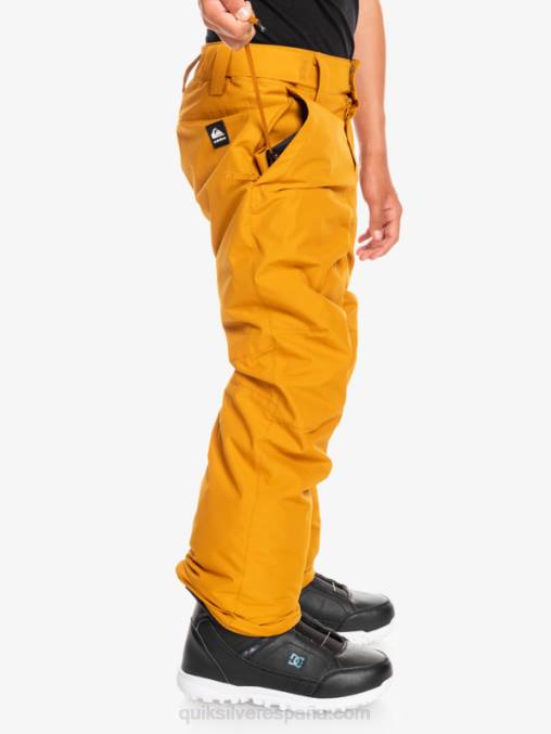 espino amarillo 8-16 pantalones de nieve estate D6T4D2293 Niños Quiksilver