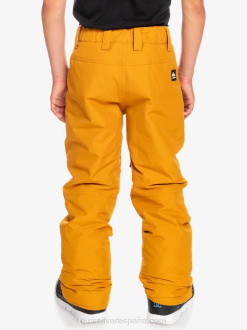 espino amarillo 8-16 pantalones de nieve estate D6T4D2293 Niños Quiksilver