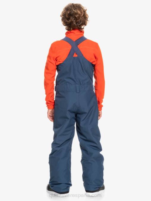 insignias azules 8-16 mash up pantalones con peto de nieve aislados D6T4D2319 Niños Quiksilver