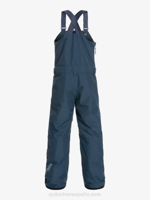 insignias azules 8-16 mash up pantalones con peto de nieve aislados D6T4D2319 Niños Quiksilver