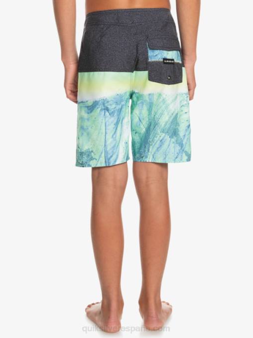 ceniza verde 8-16 panel diario yth 17 bañador D6T4D2274 Niños Quiksilver