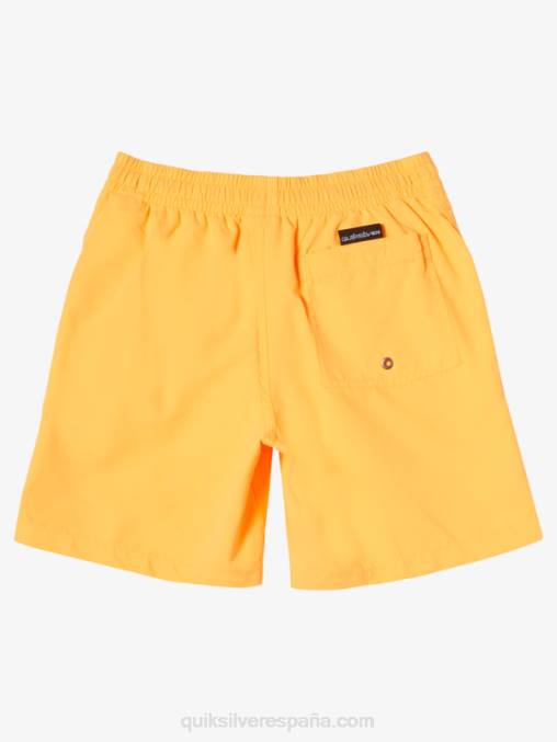 estallido de naranja 8-16 todos los días 15 voleas D6T4D1917 Niños Quiksilver