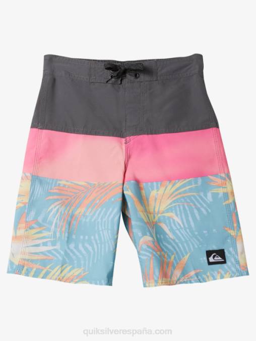 puerta de Hierro 2-7 todos los días panel 14 bañadores D6T4D1900 Niños Quiksilver