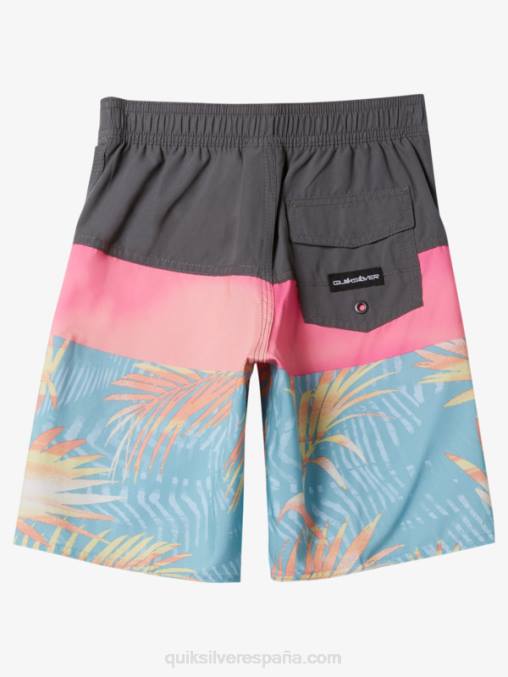 puerta de Hierro 2-7 todos los días panel 14 bañadores D6T4D1900 Niños Quiksilver