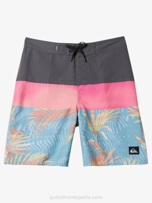 puerta de Hierro 8-16 todos los días panel 17 bañadores D6T4D1905 Niños Quiksilver