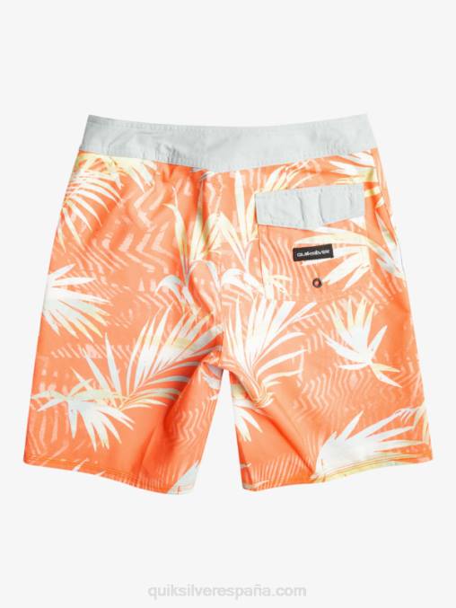 salmón fresco 8-16 todos los días qs 69 16 bañadores D6T4D2139 Niños Quiksilver