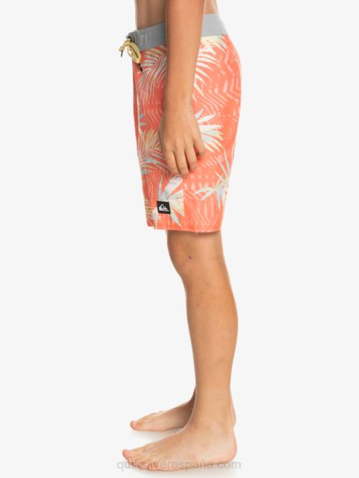salmón fresco 8-16 todos los días qs 69 16 bañadores D6T4D2139 Niños Quiksilver