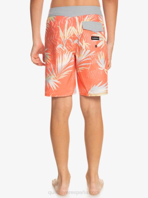 salmón fresco 8-16 todos los días qs 69 16 bañadores D6T4D2139 Niños Quiksilver