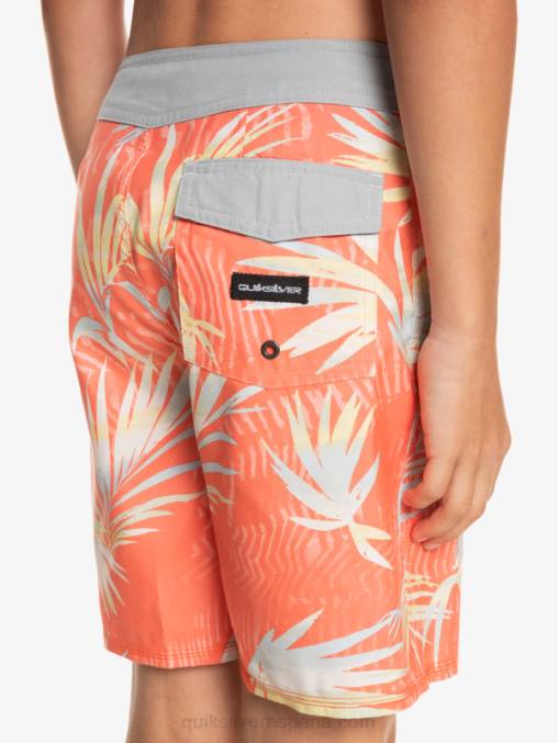 salmón fresco 8-16 todos los días qs 69 16 bañadores D6T4D2139 Niños Quiksilver