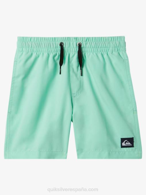vaso de playa 2-7 todos los días 12 voleas D6T4D1999 Niños Quiksilver