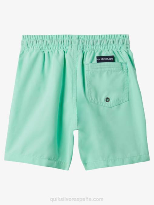 vaso de playa 2-7 todos los días 12 voleas D6T4D1999 Niños Quiksilver