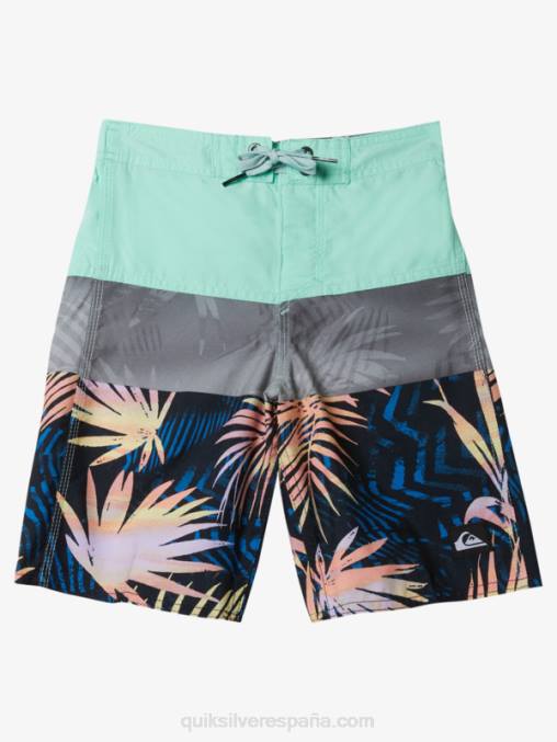 vaso de playa 2-7 todos los días panel 14 bañadores D6T4D1899 Niños Quiksilver