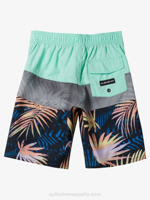 vaso de playa 2-7 todos los días panel 14 bañadores D6T4D1899 Niños Quiksilver