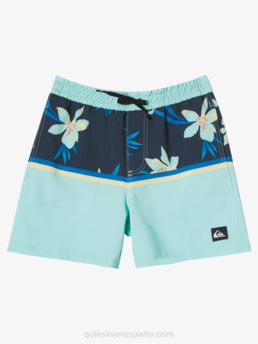 vaso de playa 8-16 surfsilk division vl 14 voleas D6T4D2141 Niños Quiksilver