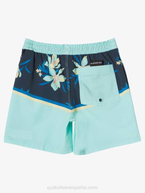 vaso de playa 8-16 surfsilk division vl 14 voleas D6T4D2141 Niños Quiksilver