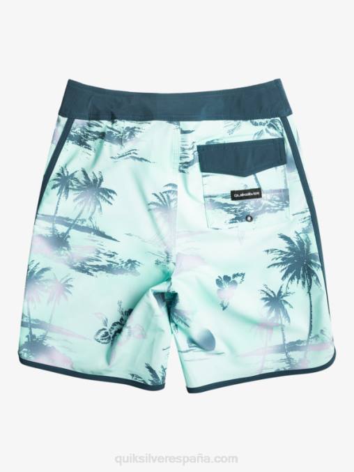 vaso de playa 8-16 surfsilk festoneado 17 bañadores D6T4D2020 Niños Quiksilver