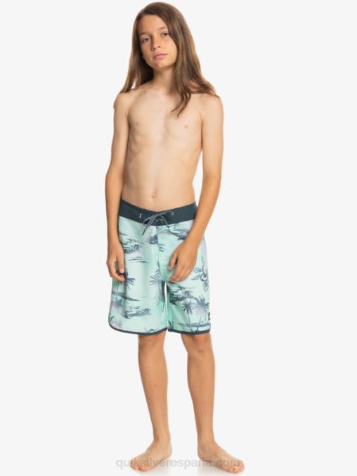 vaso de playa 8-16 surfsilk festoneado 17 bañadores D6T4D2020 Niños Quiksilver