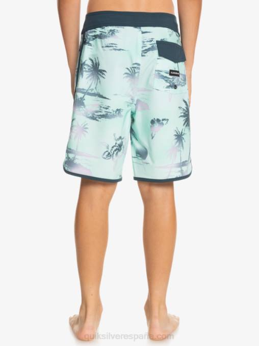vaso de playa 8-16 surfsilk festoneado 17 bañadores D6T4D2020 Niños Quiksilver