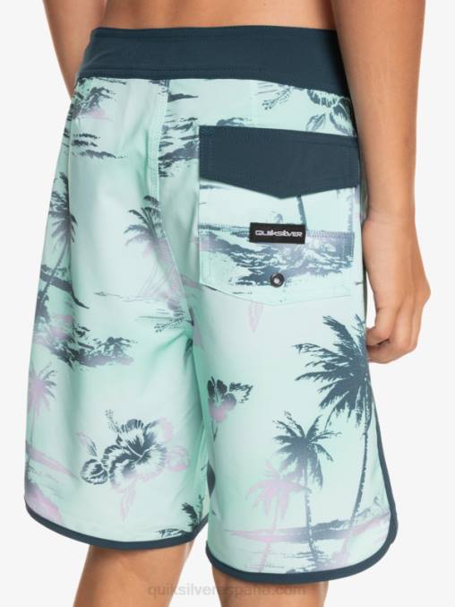 vaso de playa 8-16 surfsilk festoneado 17 bañadores D6T4D2020 Niños Quiksilver