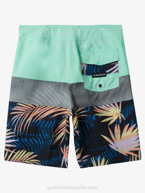 vaso de playa 8-16 todos los días panel 17 bañadores D6T4D1907 Niños Quiksilver