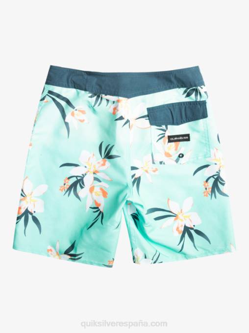 vaso de playa 8-16 todos los días qs 69 16 bañadores D6T4D2140 Niños Quiksilver