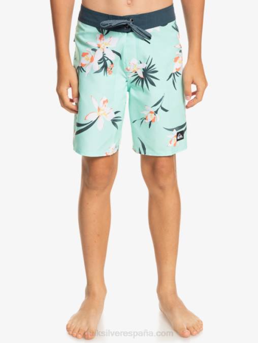 vaso de playa 8-16 todos los días qs 69 16 bañadores D6T4D2140 Niños Quiksilver