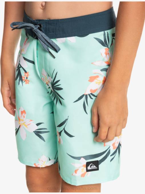 vaso de playa 8-16 todos los días qs 69 16 bañadores D6T4D2140 Niños Quiksilver