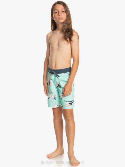vaso de playa 8-16 todos los días qs 69 16 bañadores D6T4D2140 Niños Quiksilver