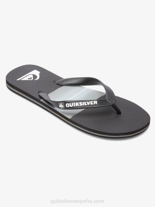 Gris oscuro chanclas molokai con tinte de resina D6T4D1788 hombres Quiksilver