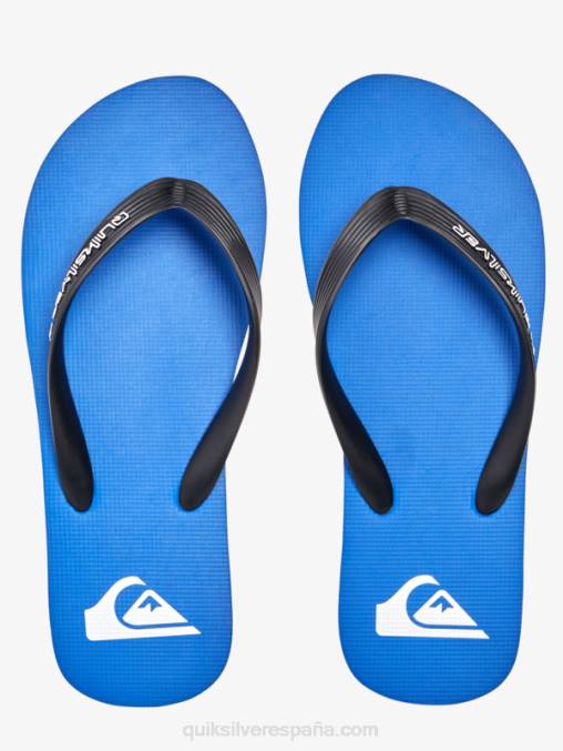 azul 1 chanclas molokai core D6T4D593 hombres Quiksilver