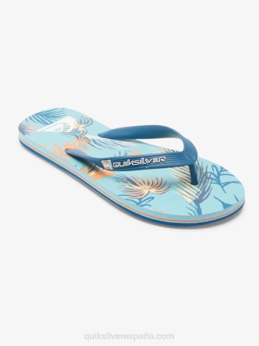 azul/negro/amarillo chanclas molokai art D6T4D519 hombres Quiksilver