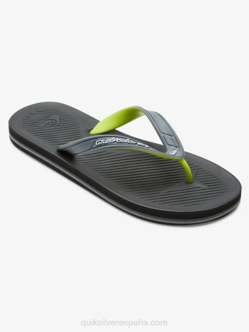gris 1 chanclas haleiwa core D6T4D953 hombres Quiksilver