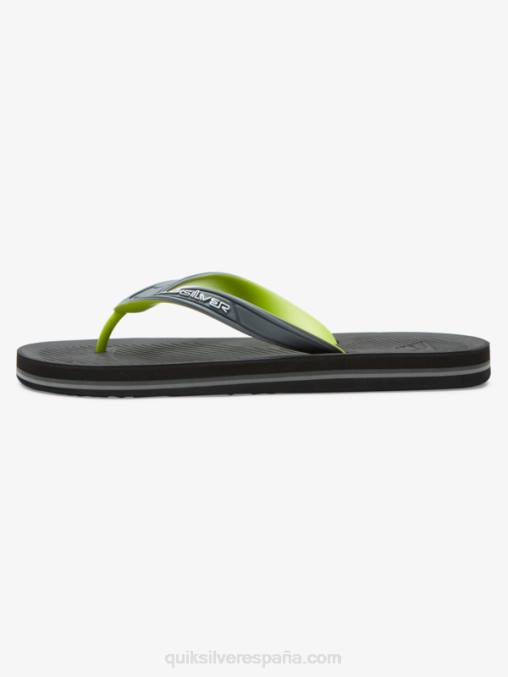 gris 1 chanclas haleiwa core D6T4D953 hombres Quiksilver