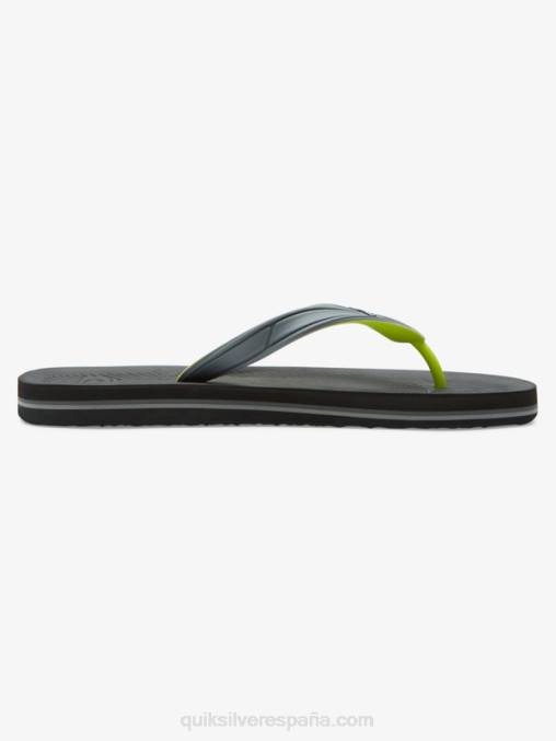 gris 1 chanclas haleiwa core D6T4D953 hombres Quiksilver