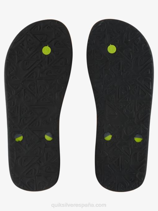 gris 1 chanclas haleiwa core D6T4D953 hombres Quiksilver