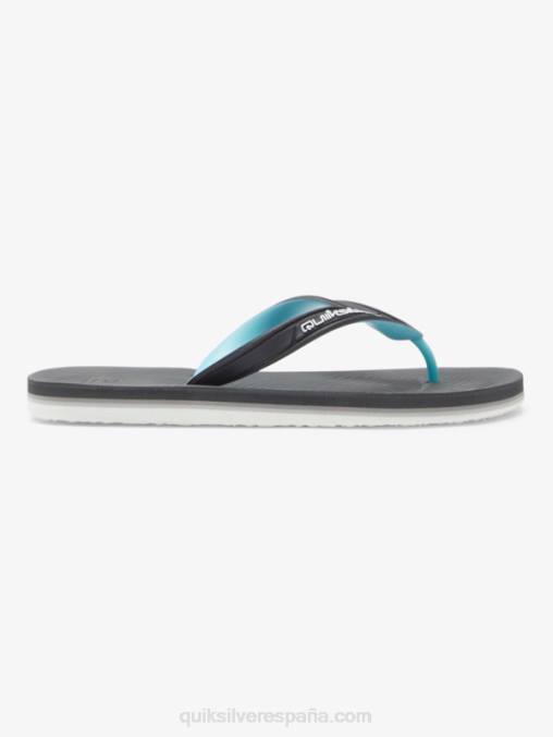 gris 2 chanclas haleiwa core D6T4D952 hombres Quiksilver