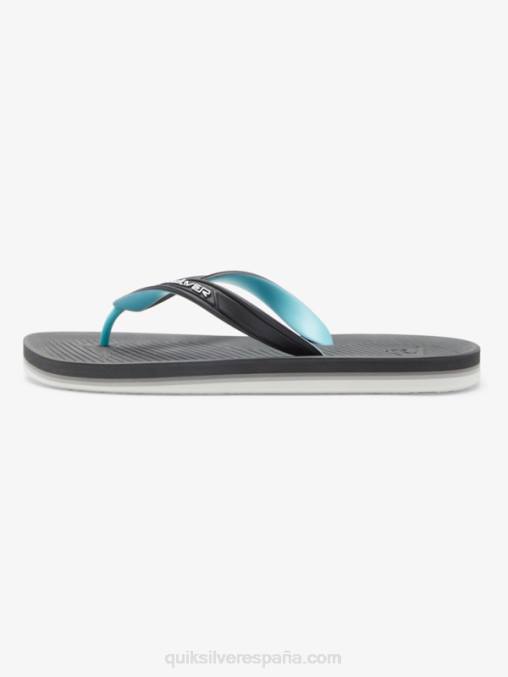 gris 2 chanclas haleiwa core D6T4D952 hombres Quiksilver