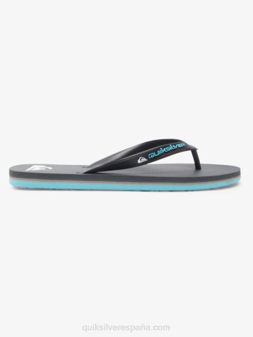 gris 4 chanclas molokai core D6T4D594 hombres Quiksilver