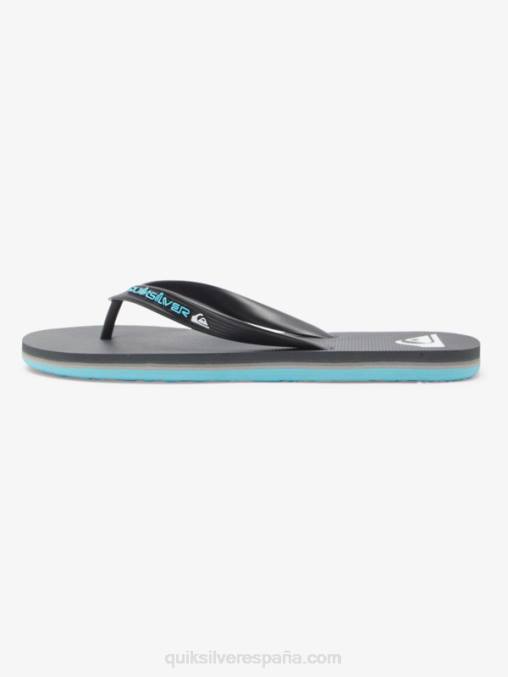 gris 4 chanclas molokai core D6T4D594 hombres Quiksilver