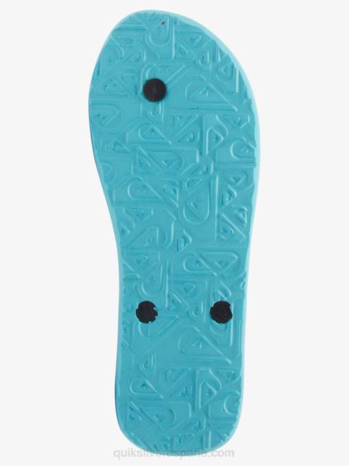 gris 4 chanclas molokai core D6T4D594 hombres Quiksilver