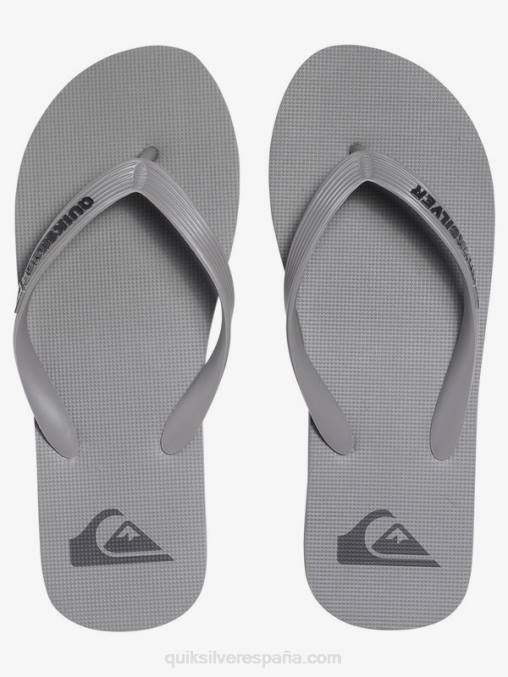 gris chanclas molokai D6T4D1590 hombres Quiksilver